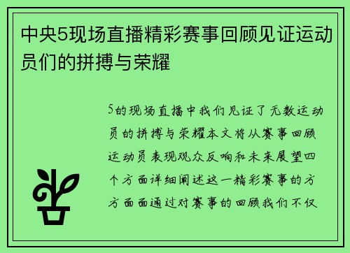 中央5现场直播精彩赛事回顾见证运动员们的拼搏与荣耀